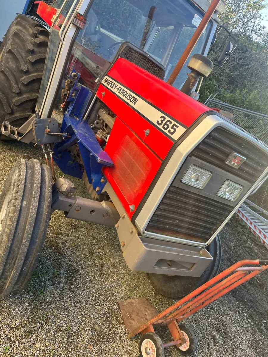 Massey Ferguson Other 1989 - Image 4
