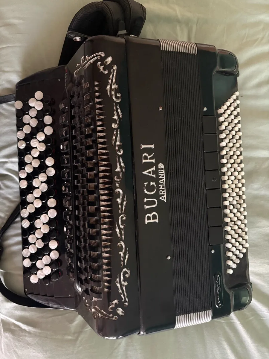 Accordion - Image 3