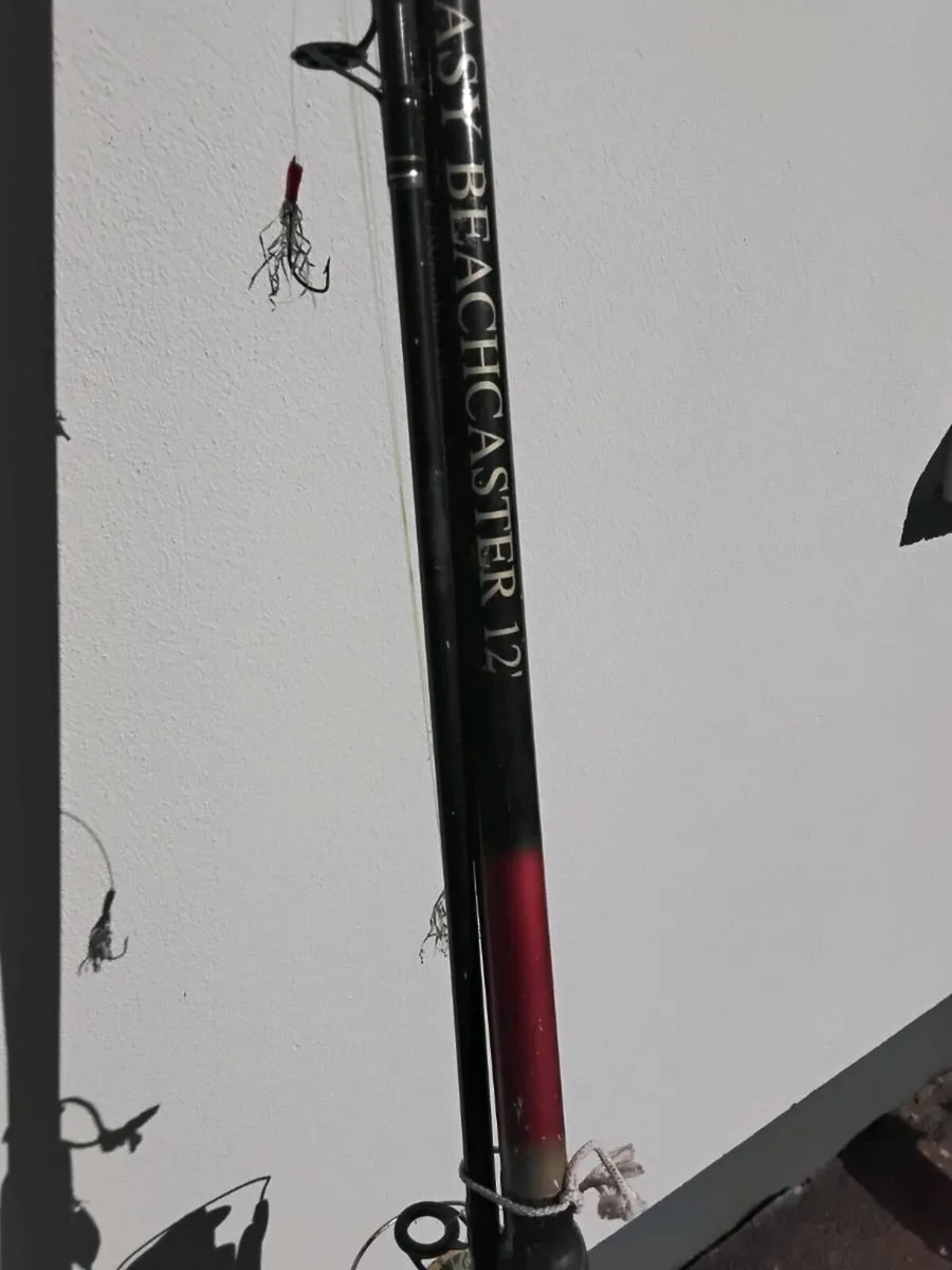 Fishing Reel & Rod - Image 3