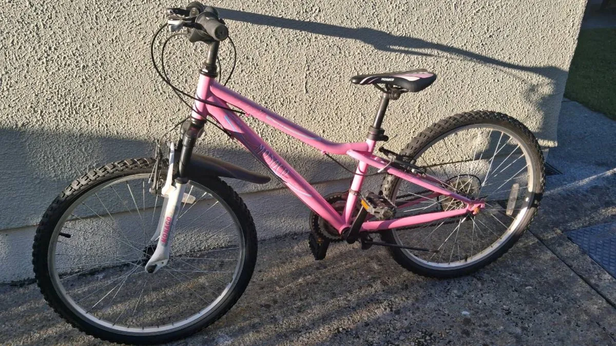 Girls bike - Image 1