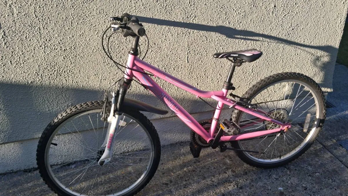 Girls bike - Image 2