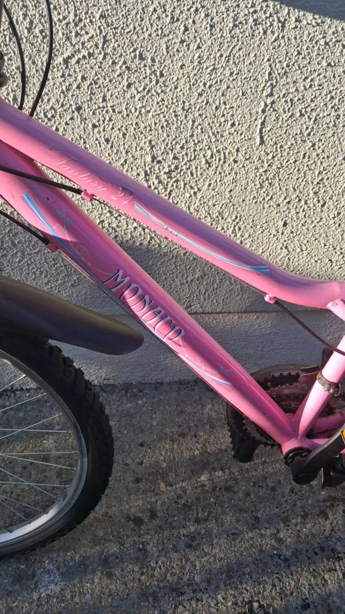 Girls bike - Image 4