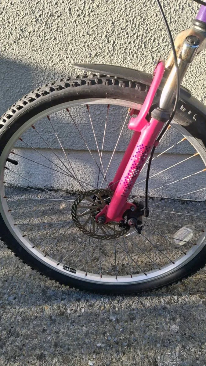 Bike - Image 2