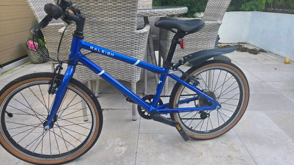 Raleigh Bike 20inch - Image 1