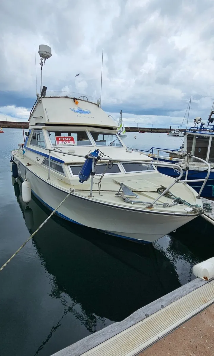 Boat - Image 1