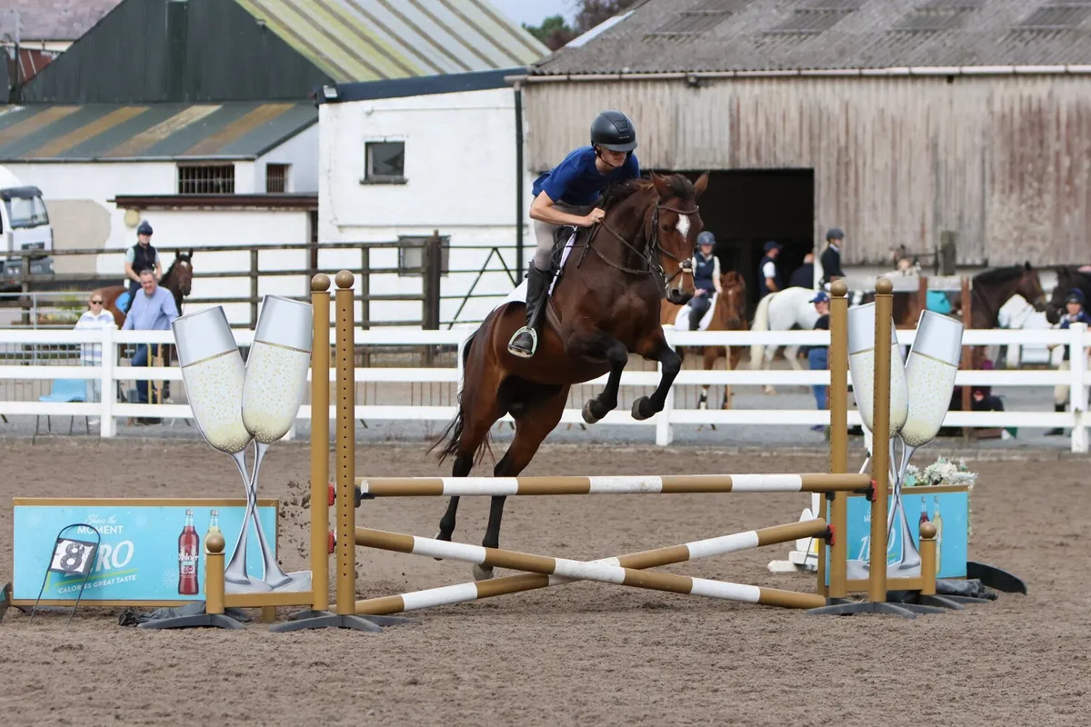 Horse - Image 3