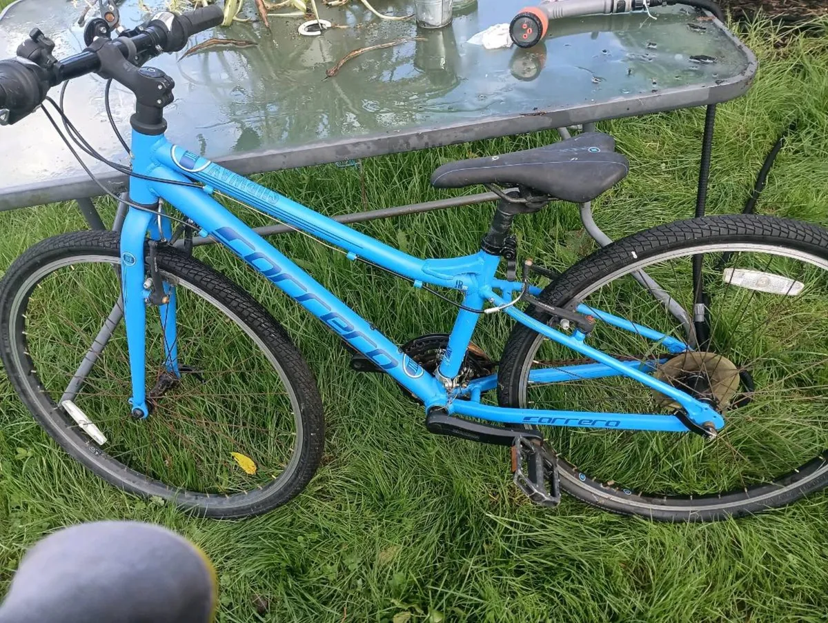 Carrier junior bike