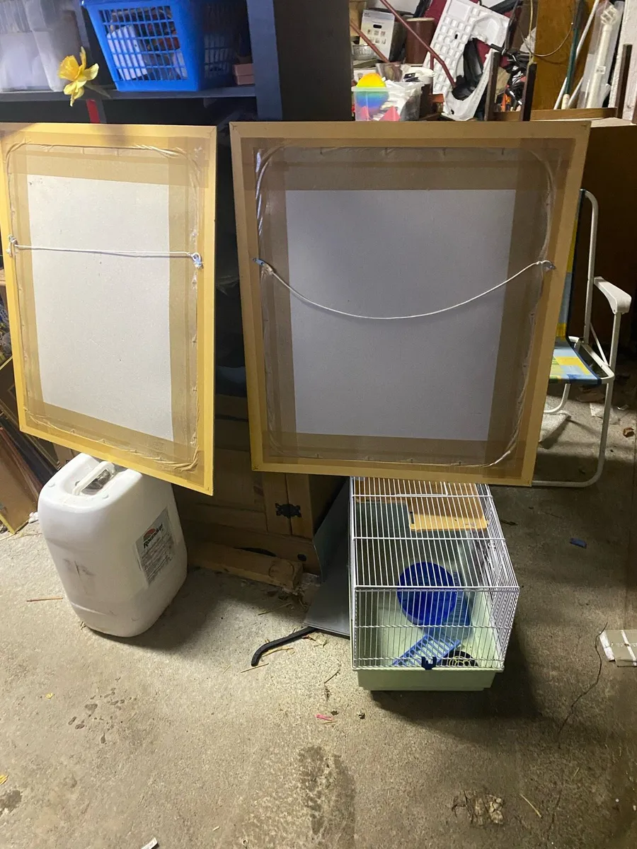 Pair of pictures - Image 4