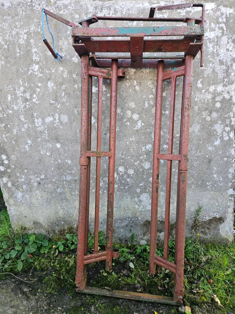 Crush Gate - Image 2