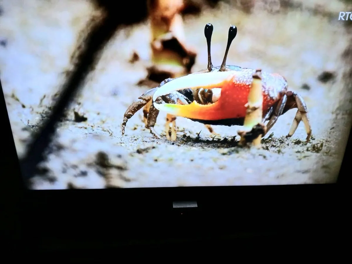 Samsung 40 inch smart tv hdmi - Image 2
