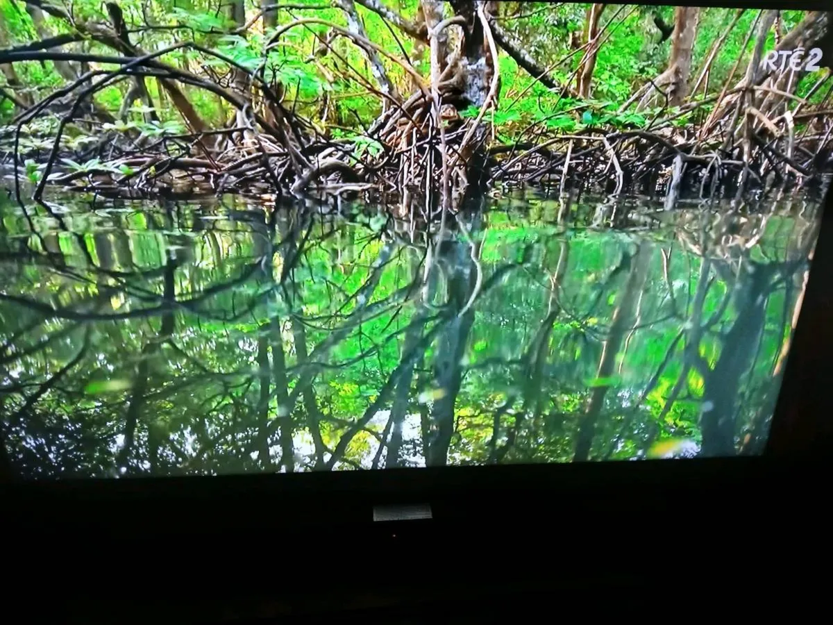 Samsung 40 inch smart tv hdmi - Image 3