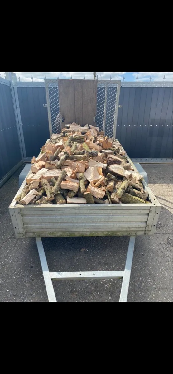 Hardwood firewood - Image 2