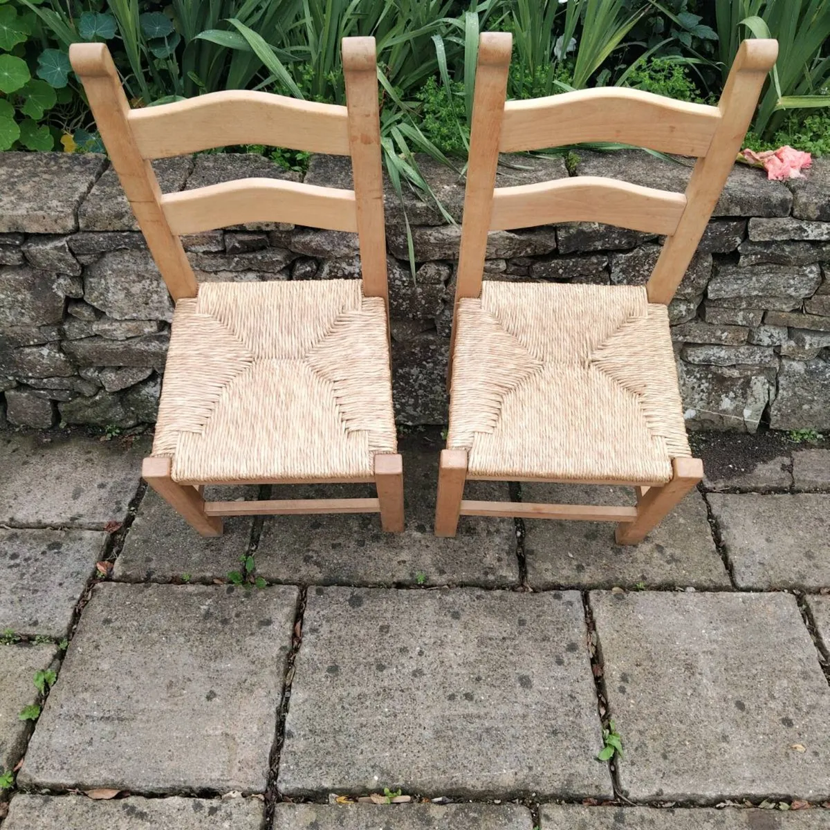 Dining Chairs - Image 1