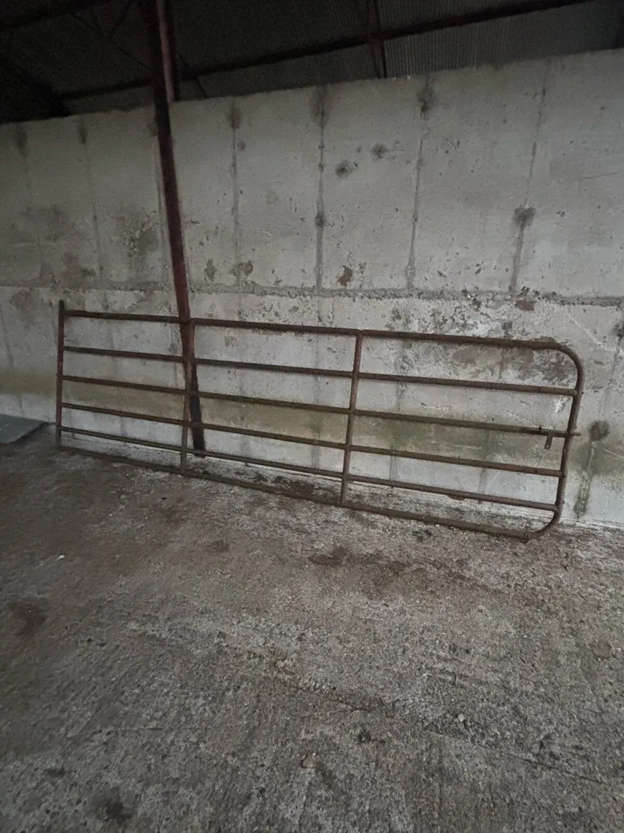 Gates & Concrete water troughs - Image 1