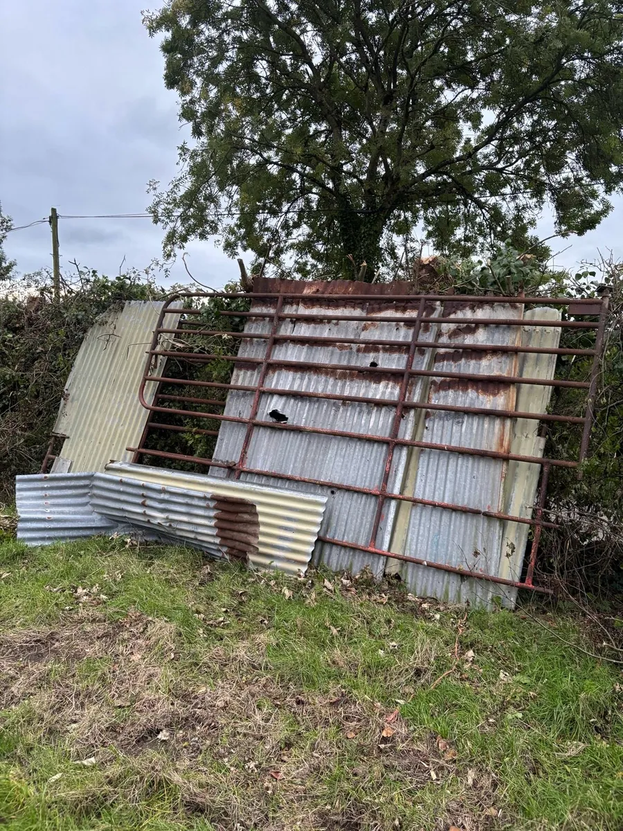 Gates & Concrete water troughs - Image 4