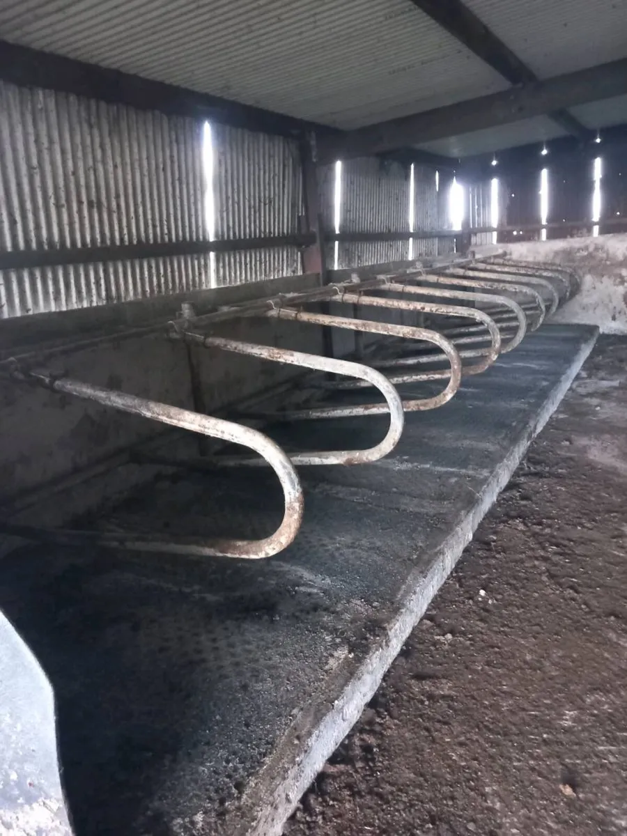 Cow mattress and cubicles - Image 2