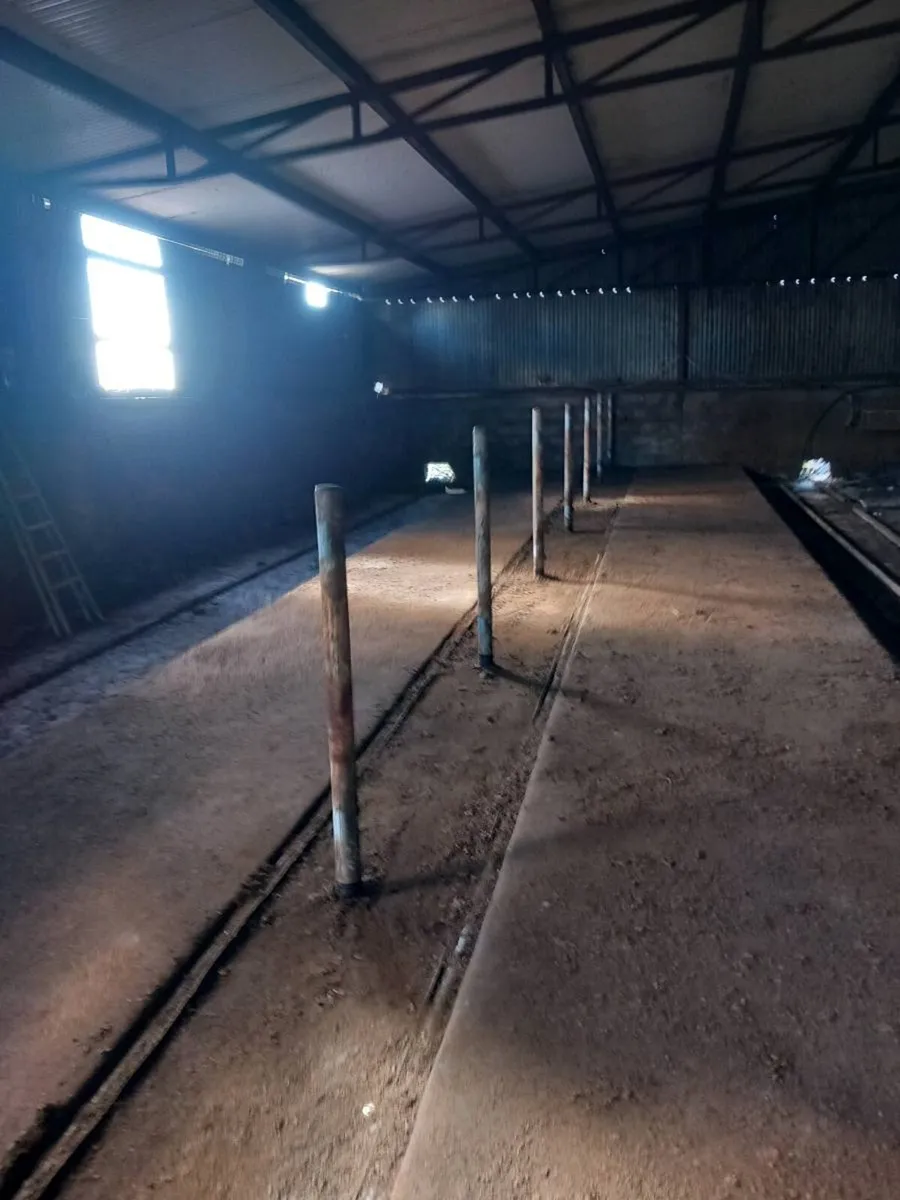 Cow mattress and cubicles - Image 3