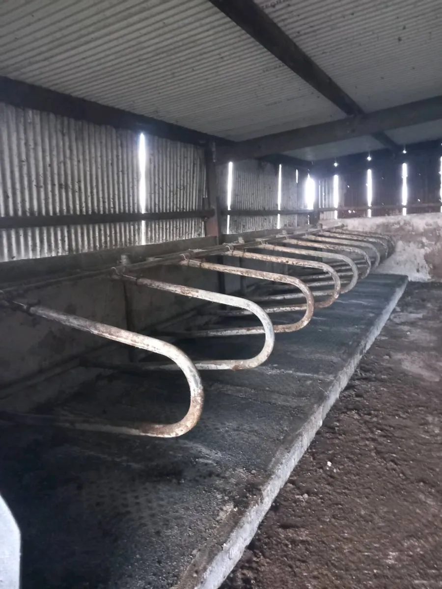 Cow mattress and cubicles - Image 1