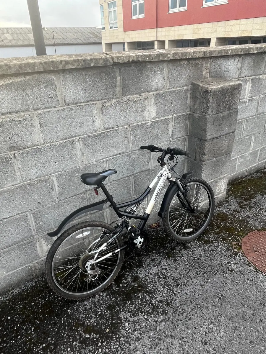 Bike - Image 2