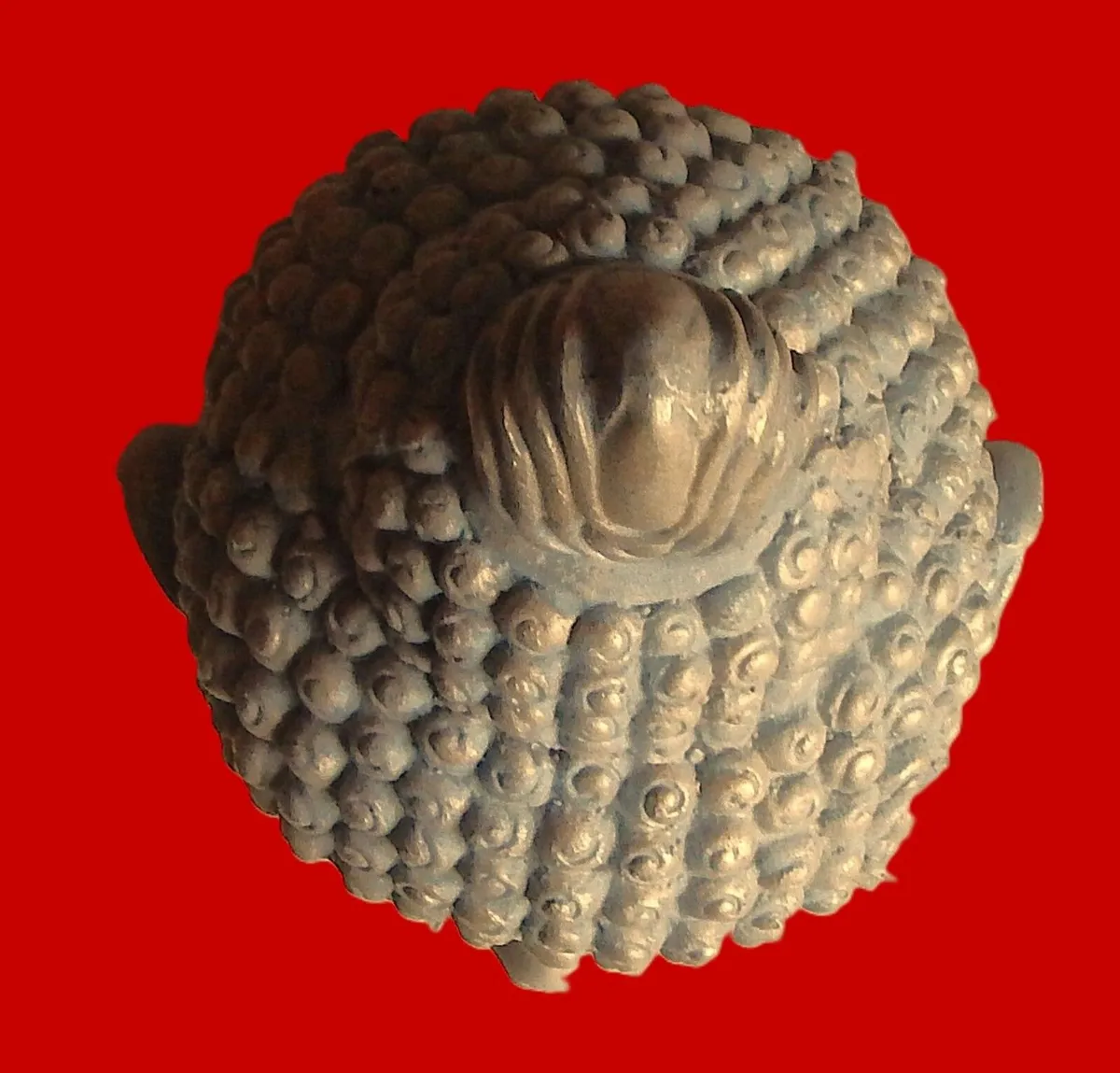Large Brushed Bronze Effect Buddha Head - Image 4