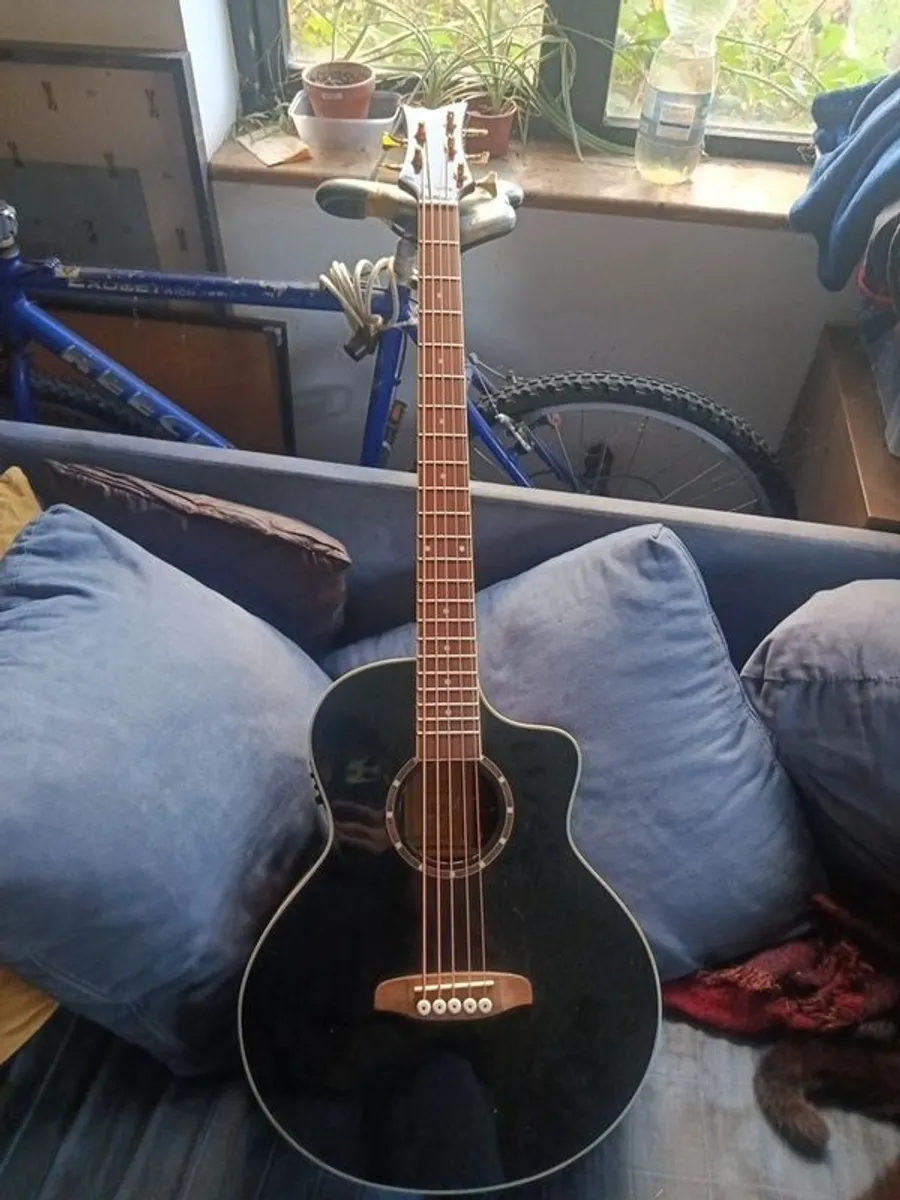 5 string acoustic