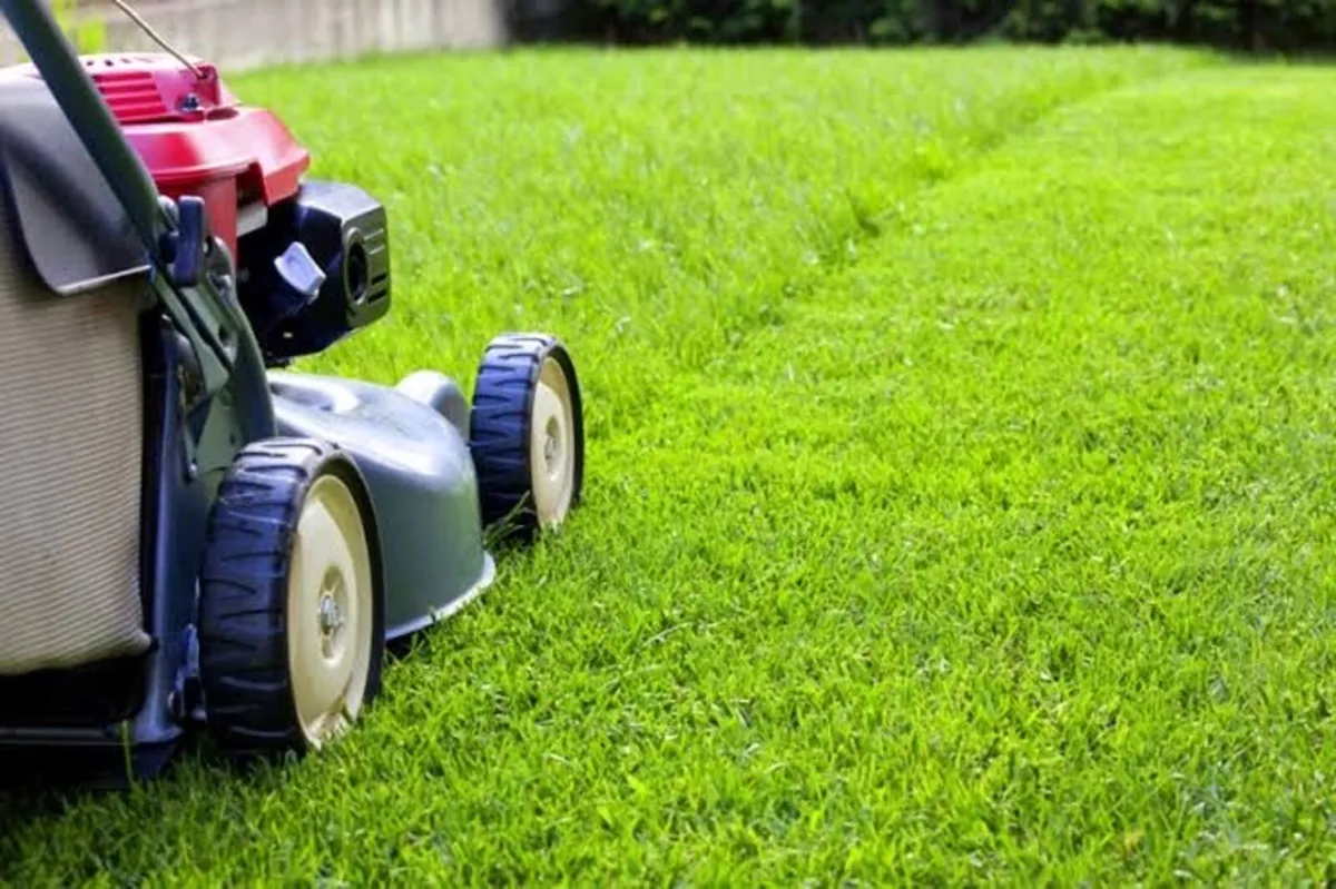 Grass Cutting & Lawn Mowing - Image 1