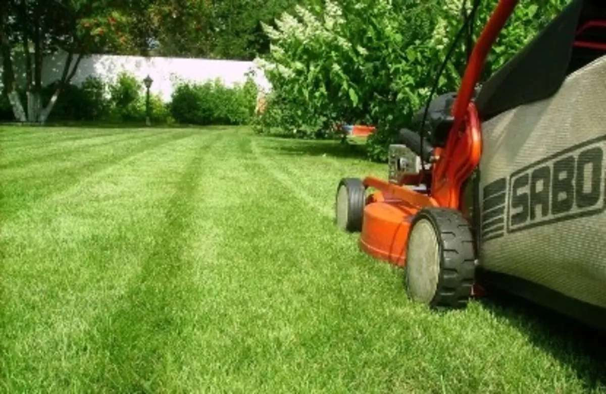 Grass Cutting & Lawn Mowing - Image 2