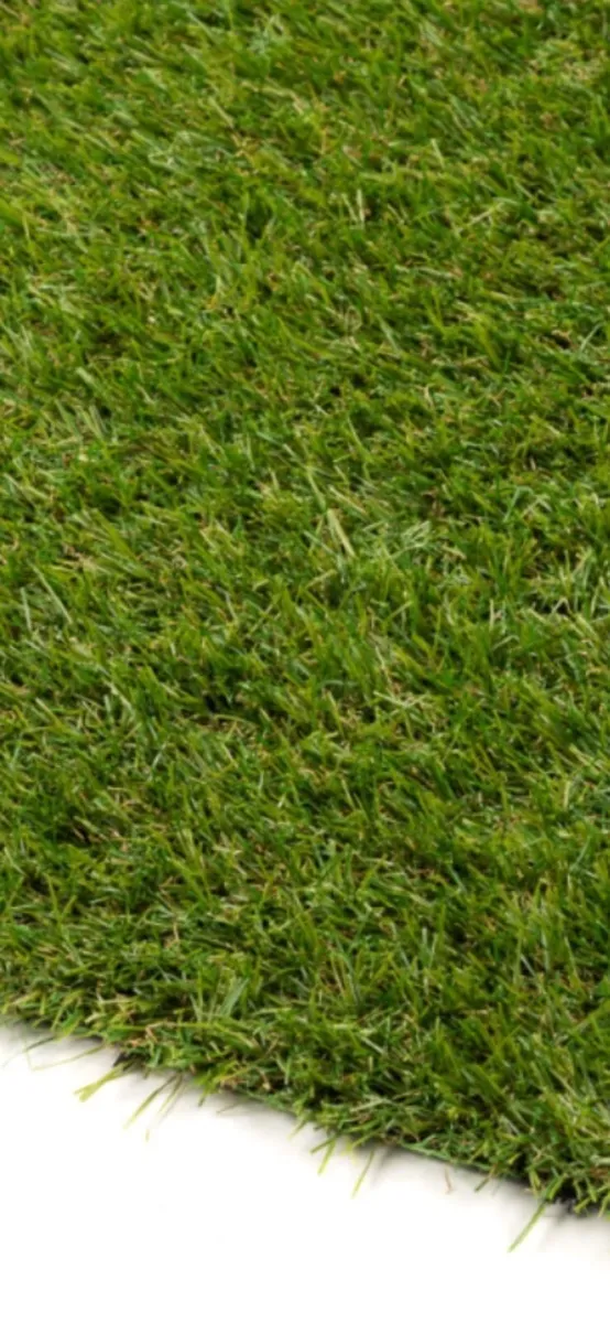 Artifical grass - Image 2
