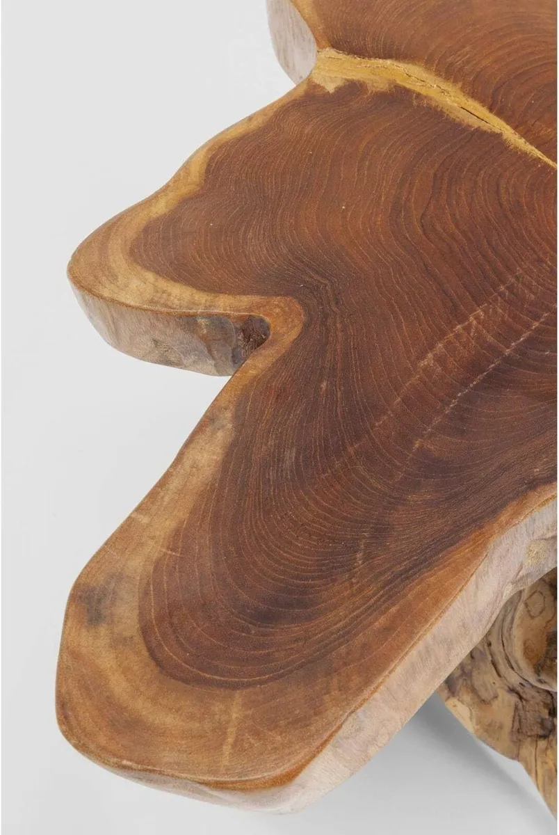 Side Table Tree Big Nature Diameter - Image 3