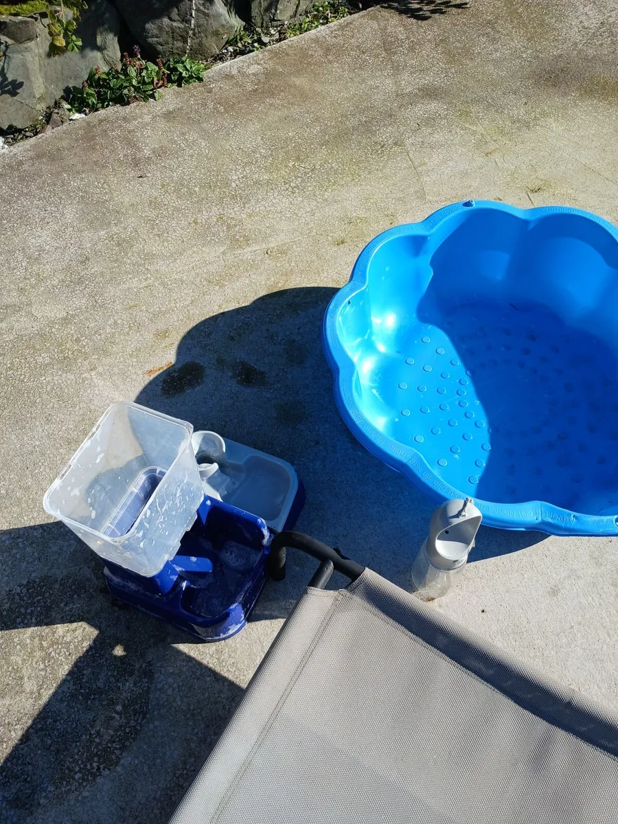 Dog accessories - Image 2