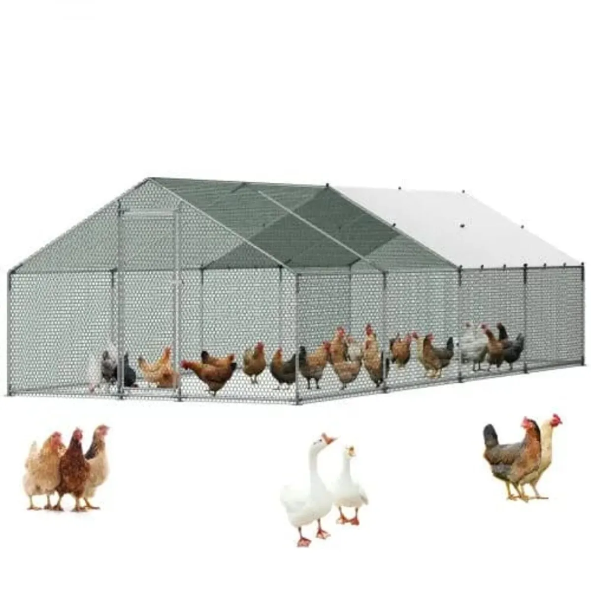 Large Metal Chicken Coop, 3 x 8 x 2 m, Walk-in Chi - Image 1