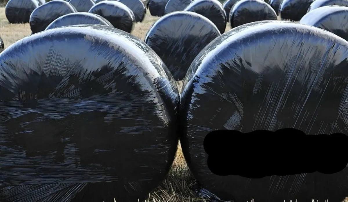 silage and  hay for sale