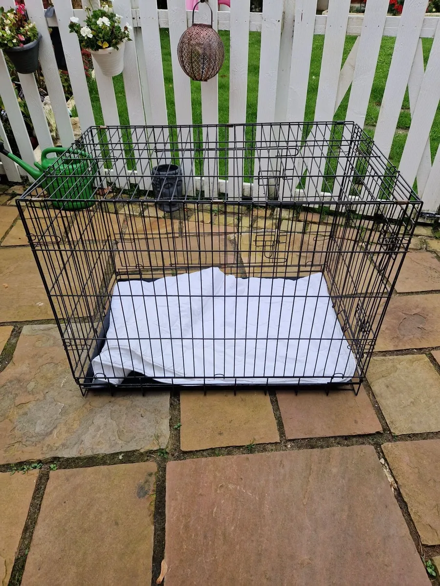 Dog crate for sale - Image 4
