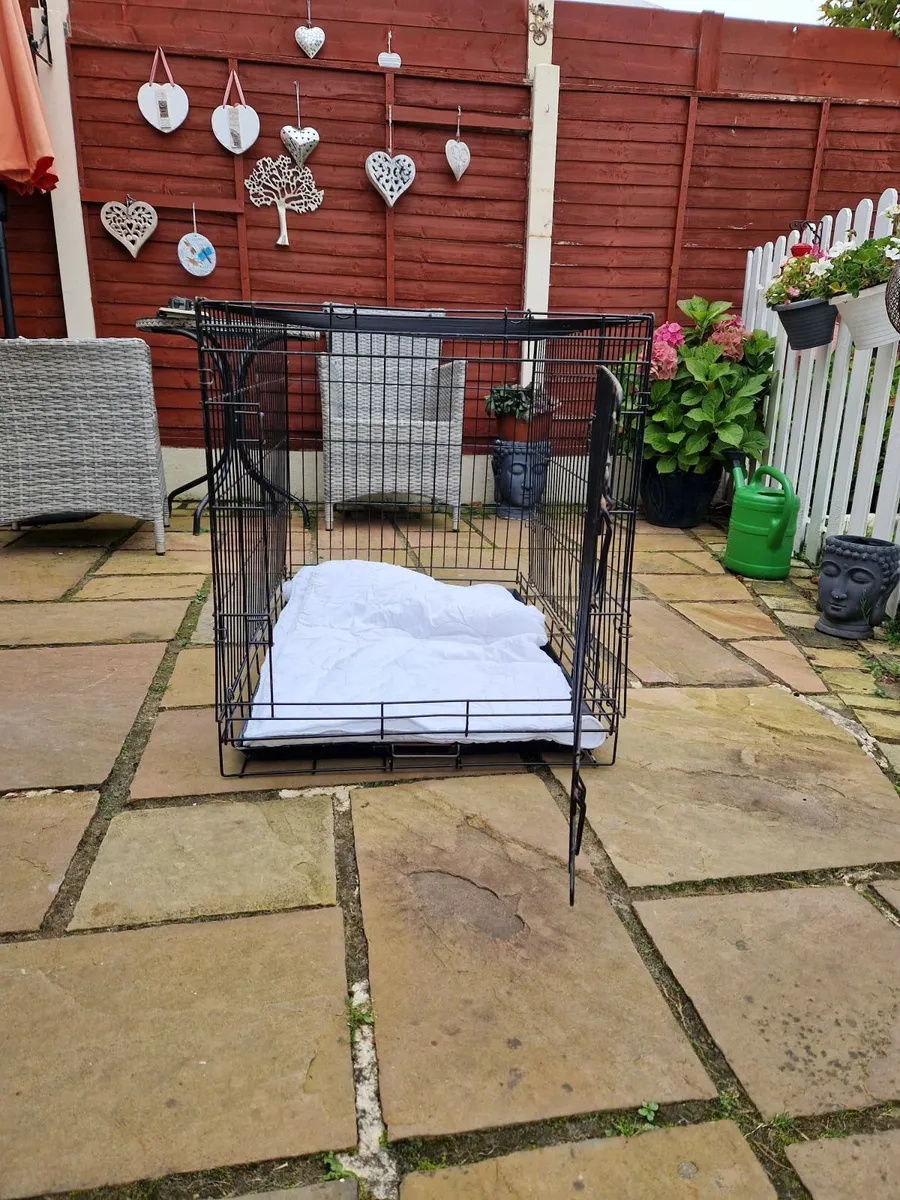 Dog crate for sale - Image 3