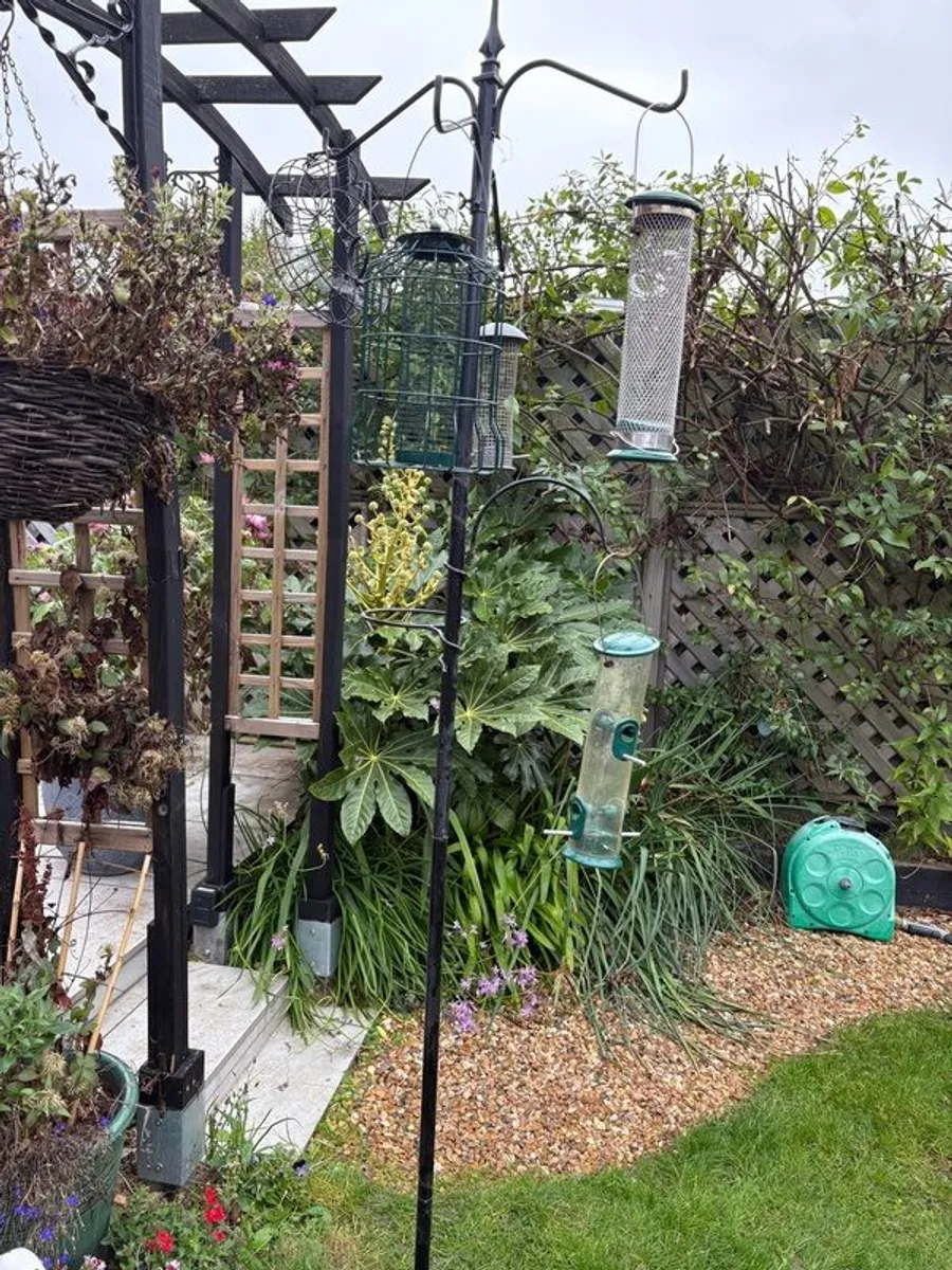 Bird Feeders x5 , Stand and various feed. - Image 2