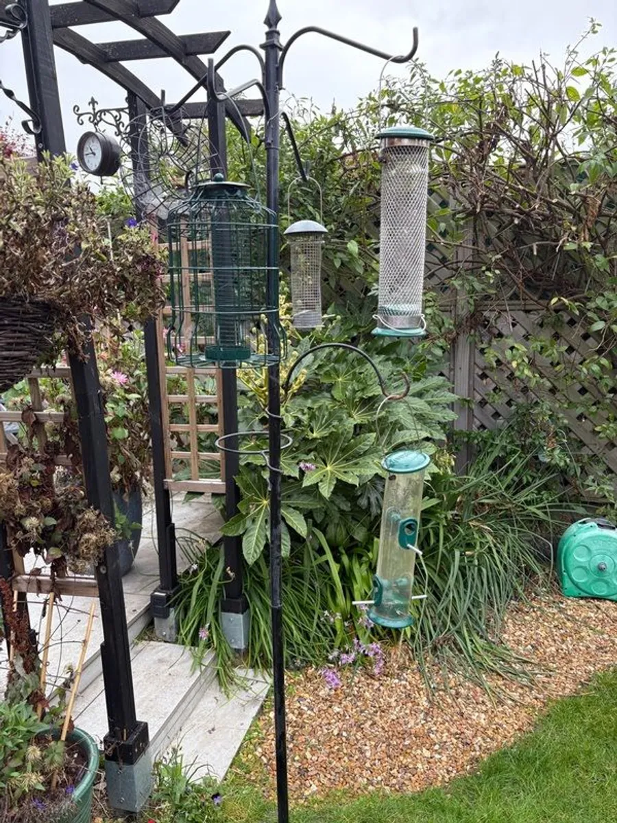 Bird Feeders x5 , Stand and various feed. - Image 1