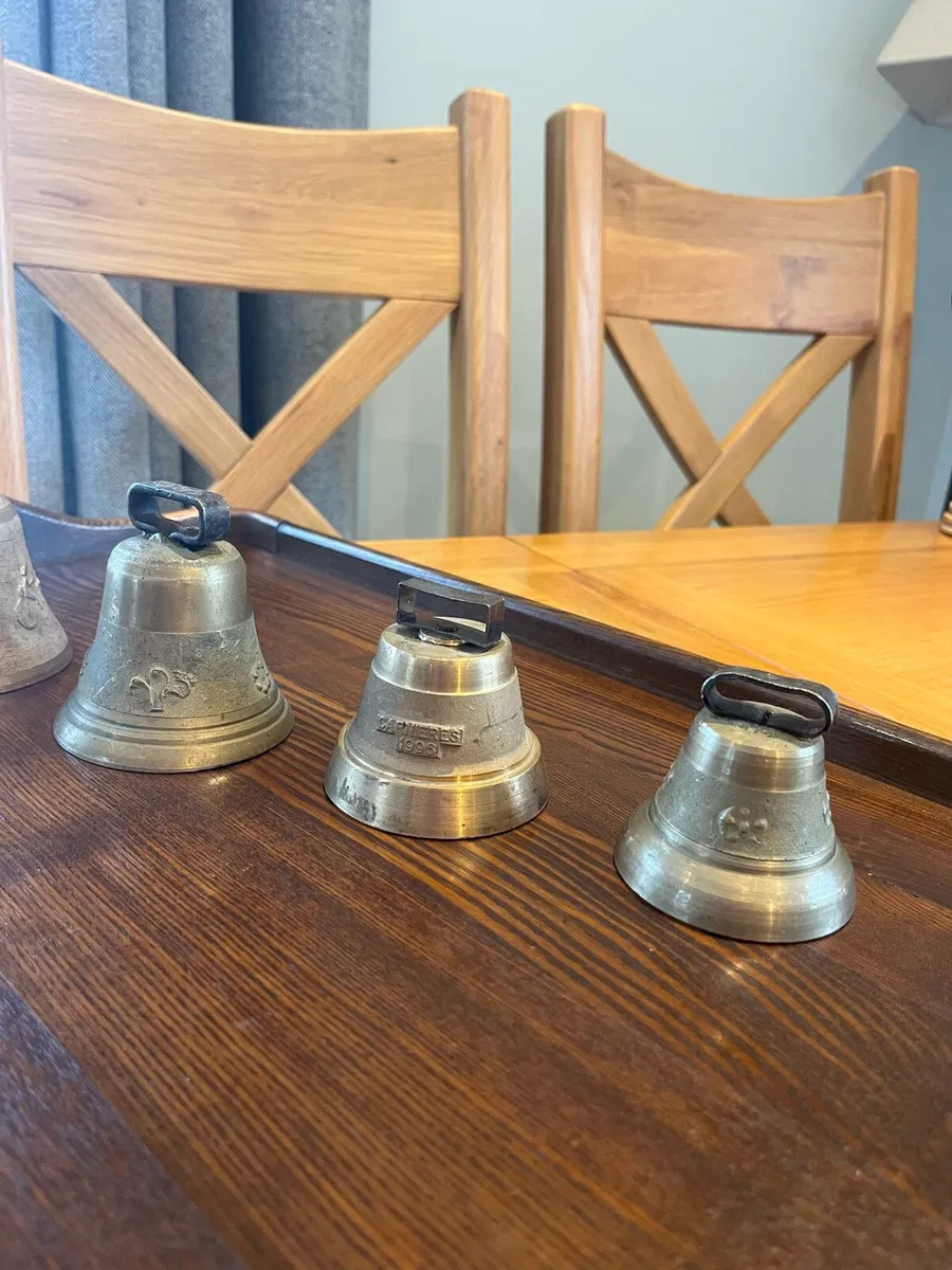 Vintage Bronze/Brass Livestock Bells - Image 2