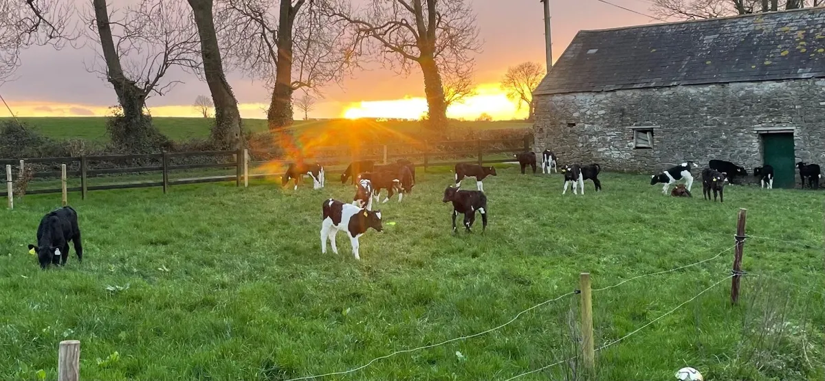 Farm worker wanted