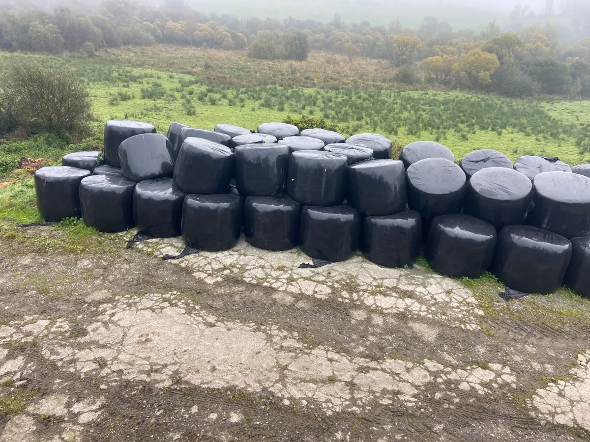Bales for sale - Image 1