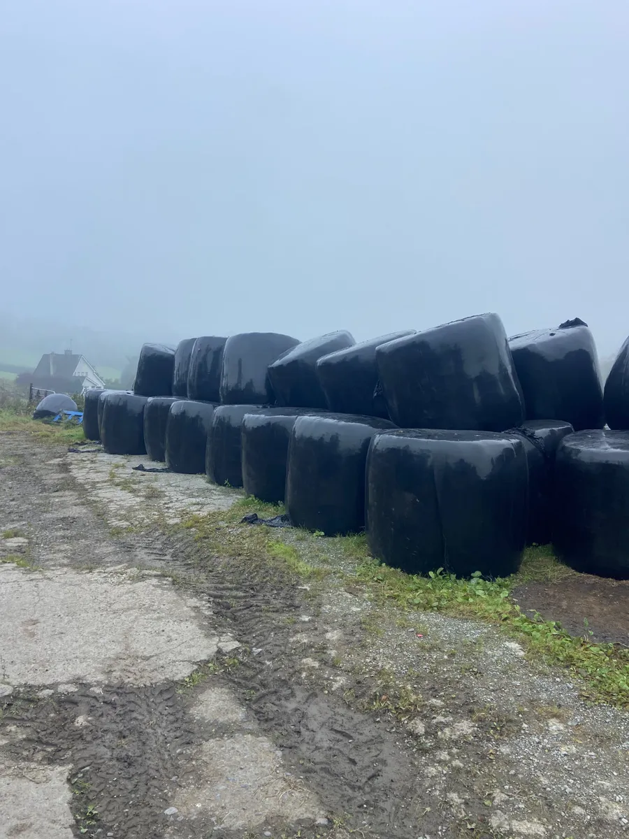 Bales for sale - Image 3