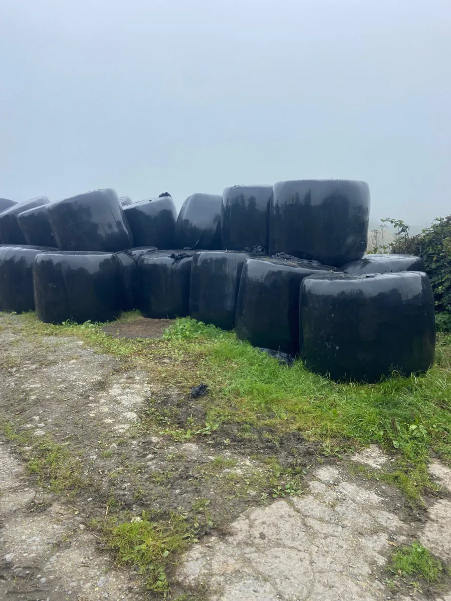 Bales for sale - Image 2