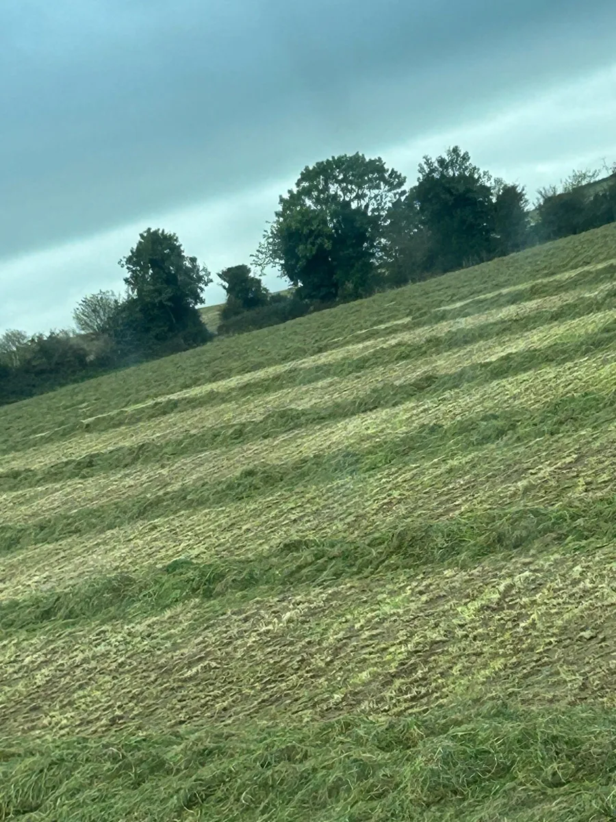 Bale silage - Image 2