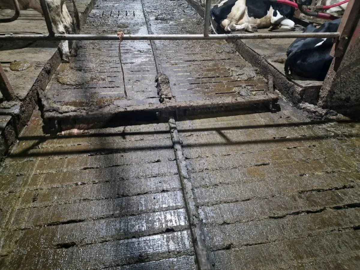 Dairymasters scrapper - Image 3