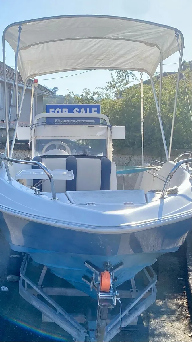End of season bargain - Image 1