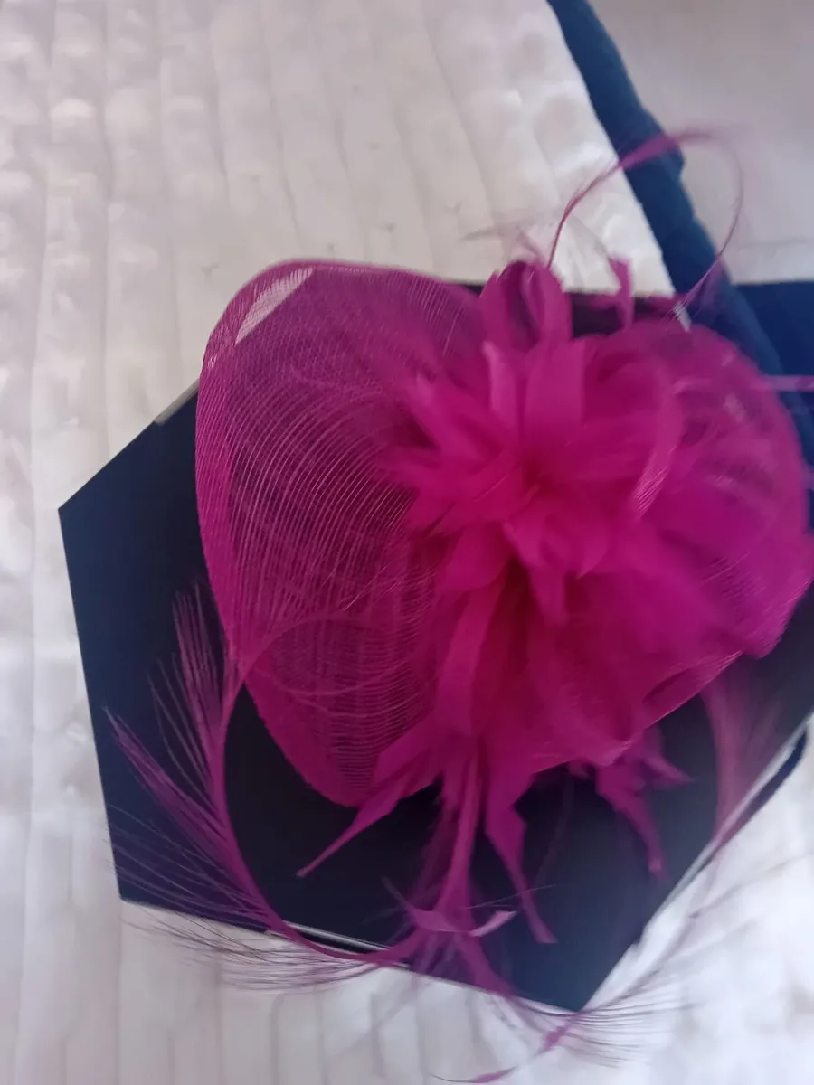 Mother of the Bride/Groom dress and Headpiece - Image 3
