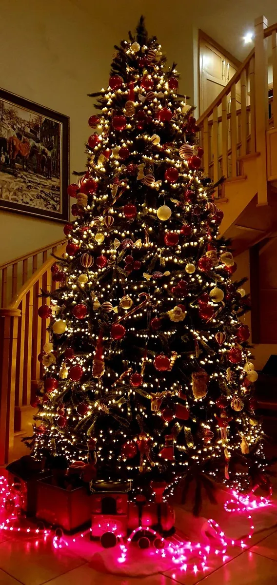Christmas Tree 12ft - Image 2