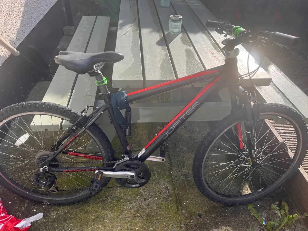 bicycle - Image 1