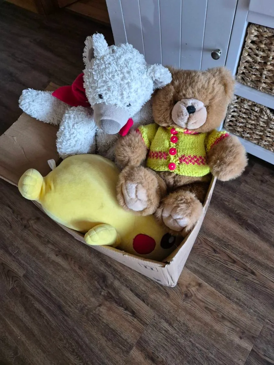 Box of teddies