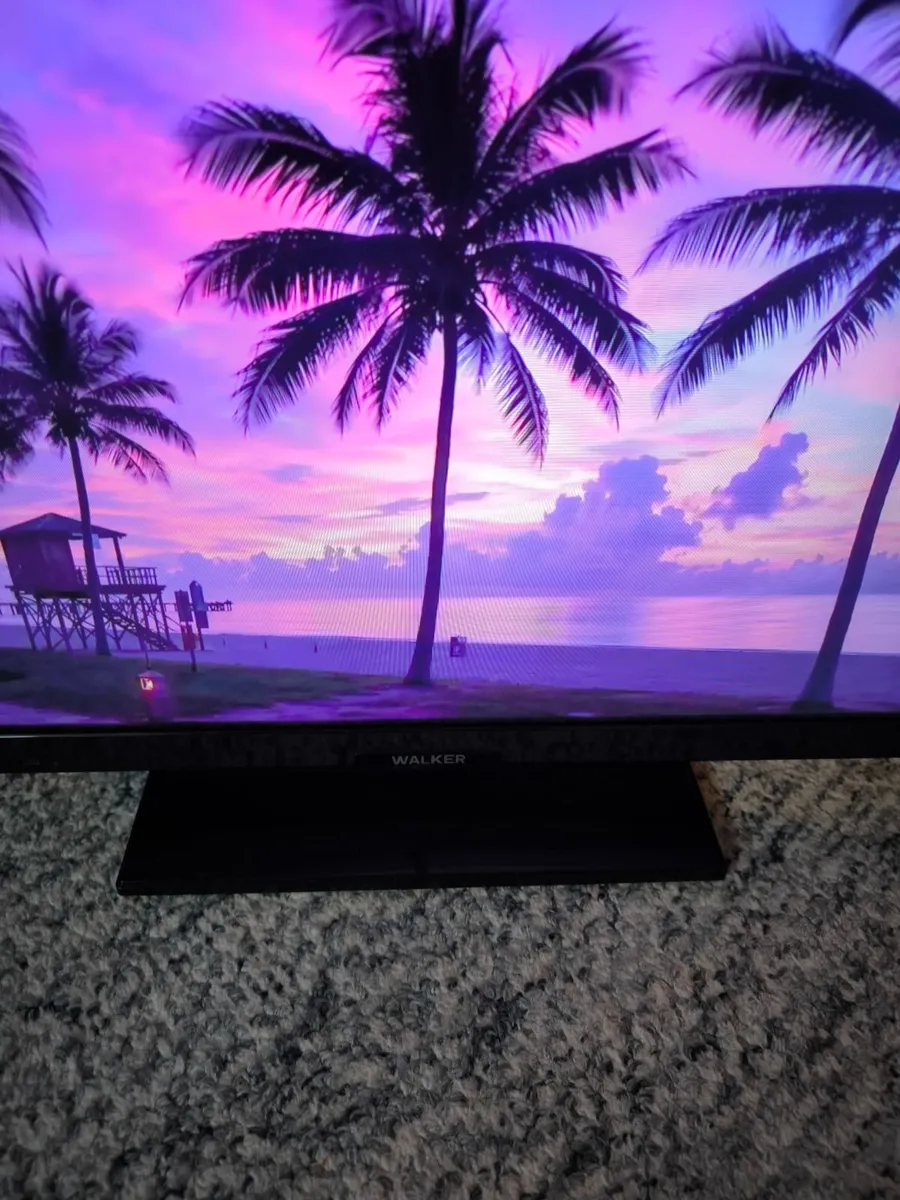 For sale: Walker 24-inch LED TV (Model: 24WPS19P) - Image 1