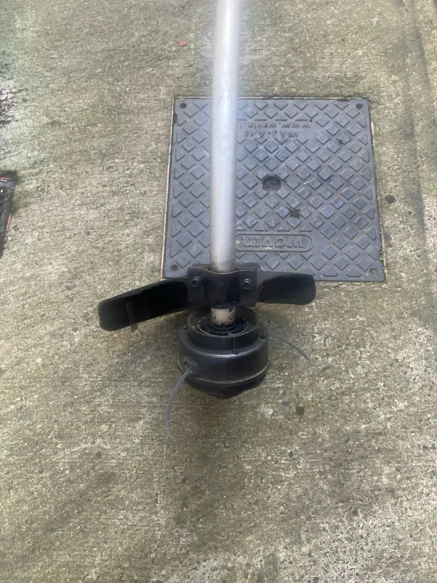 Strimmer - Image 4